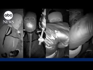 Read more about the article FBI releases images of armed, masked man recovered from Nancy Guthrie’s nest cam