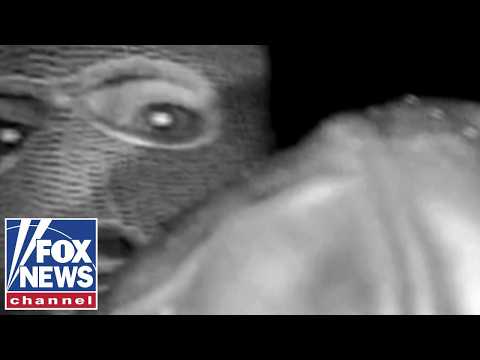 You are currently viewing This is ‘EXACTLY what America needs to see,’ says former FBI special agent