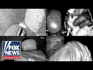 Read more about the article BREAKING: Person DETAINED for questioning in Guthrie case: Report