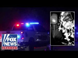 Read more about the article THIS could be a ‘treasure trove’ of information: Former police lieutenant