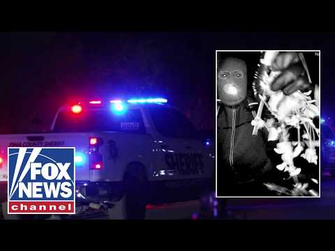 You are currently viewing THIS could be a ‘treasure trove’ of information: Former police lieutenant