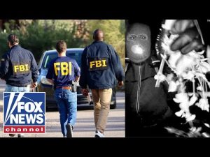 Read more about the article Black glove reportedly found along road near Nancy Guthrie’s home