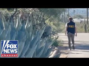 Read more about the article This case will ‘crack WIDE open,’ says former FBI special agent