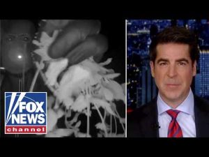 Read more about the article Watters: Things have gotten WEIRD