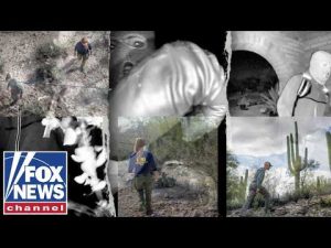 Read more about the article TWISTS AND TURNS: Authorities hope black gloves could be key to finding Nancy Guthrie