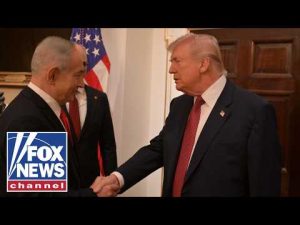 Read more about the article Trump, Netanyahu talk Iran as protesters burn flags in Tehran