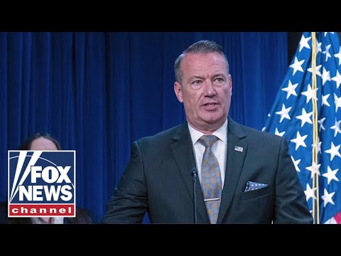 Read more about the article ICE sends STERN message to left-wing agitators