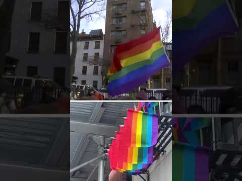 You are currently viewing Activists re-raise Stonewall pride flag after Trump admin removal
