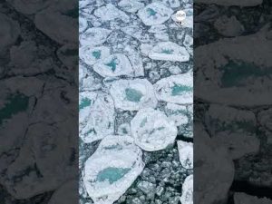 Read more about the article Lake Michigan covered in ice pancakes