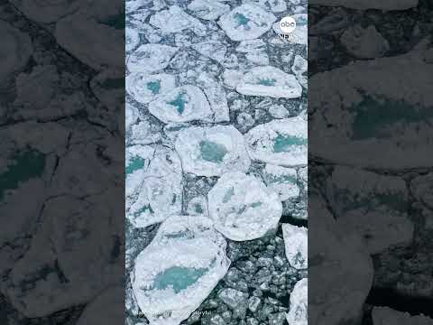 You are currently viewing Lake Michigan covered in ice pancakes