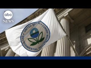 Read more about the article Former EPA administrator: ‘Climate change won’t wait for politics’