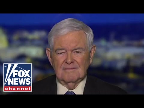 You are currently viewing Newt Gingrich: This regime is dedicated to the destruction of the West