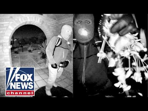 You are currently viewing LIVE: FBI releases description of suspect in Nancy Guthrie case as reward hits $100K