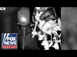 Read more about the article ‘NOT STRAIGHTFORWARD’: Expert spotlights characteristic in Guthrie ransom