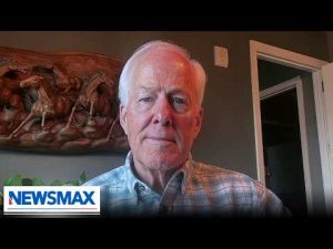 Read more about the article Dems focused on wrong agency in fight over ICE funding: Sen. John Cornyn | America Right Now