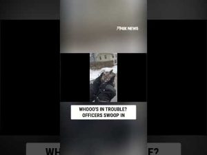 Read more about the article Whooo needed help? Syracuse owl saved!