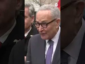 Read more about the article Schumer legislation would make pride flag ‘congressionally authorized’