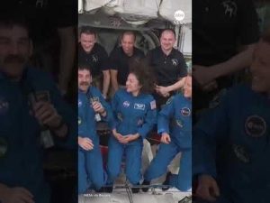 Read more about the article Four new astronauts arrive at the ISS to replace NASA’s evacuated crew