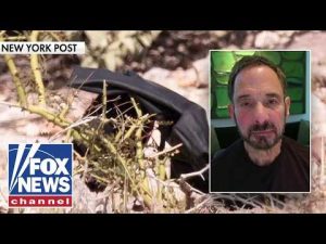 Read more about the article Single glove found 2 miles from Guthrie home ‘OJ-esque’: Harvey Levin