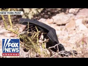 Read more about the article Nancy Guthrie’s home should have been secured until the case was closed: Chad Ayers