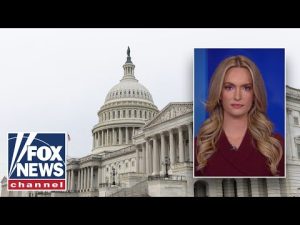 Read more about the article This is as Orwellian as it gets: Kaylee McGhee White