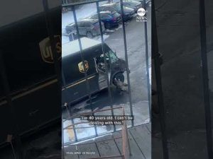 Read more about the article UPS driver terrorized by wild turkeys in Connecticut