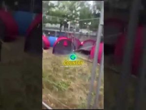 Read more about the article The Democrat Civil War Has Begun, Gavin Newsom VS Obama