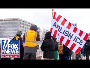 Read more about the article Dem sparks FURY with anti-ICE claims: ‘Take a look at the law’