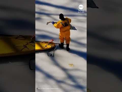 Read more about the article Rescue crew saves swan stuck on frozen pond