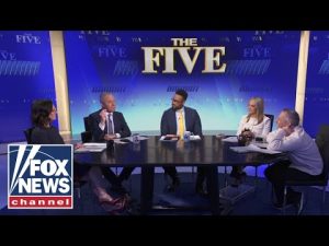 Read more about the article Dana Perino: Dems are LYING to their base