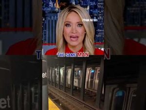 Read more about the article McEnany: Mamdani is letting criminals raid NYC #shorts #usa #us #politics #nyc #newyork