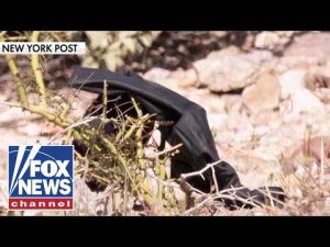 Read more about the article The FBI is in a ‘deep dive’ of forensic analysis: Ex-special agent