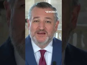 Read more about the article Cruz dismantles Dems’ ‘racist’ photo ID argument