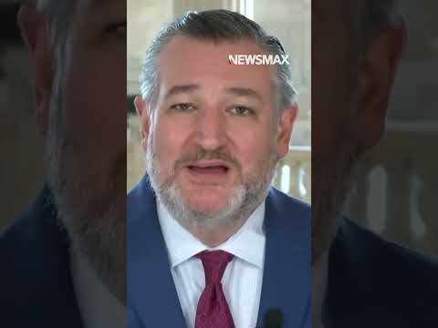 Read more about the article Cruz dismantles Dems’ ‘racist’ photo ID argument