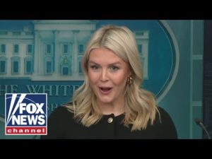 Read more about the article ‘YOU’RE KIDDING ME’: Leavitt asked by reporter for examples of Trump being called ‘racist’