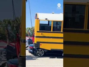 Read more about the article Sports car slams into school bus in Florida