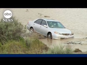 Read more about the article Body recovered after car tries to cross flooded creek