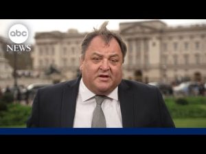 Read more about the article Palace insider on former Prince Andrew’s arrest, Sarah Ferguson