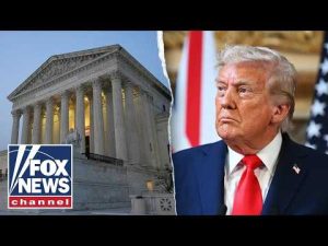 Read more about the article Trump tariff blow may be ‘BLESSING IN DISGUISE,’ legal expert says