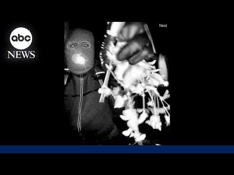 Read more about the article Masked man on Nancy Guthrie’s doorstep may have had accomplice, sheriff’s office says