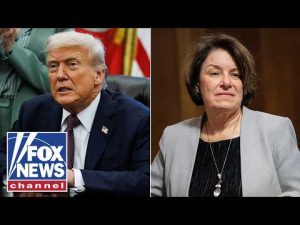Read more about the article Amy Klobuchar calls for Trump to ‘STOP’ his ‘ILLEGAL’ actions