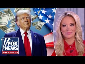 Read more about the article McEnany: Trump is taking matters into his own hands