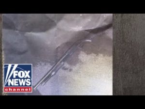 Read more about the article DETAILS: Mar-a-Lago gunman raised shotgun before he was shot, killed by officials