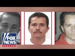 Read more about the article Americans stranded after Mexican drug lord KILLED in military operation