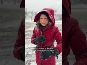 Read more about the article Ginger Zee on the empty streets of New York amid historic blizzard