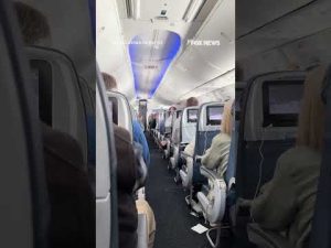 Read more about the article SKY-HIGH CELEBRATION: Passengers on flight erupt in cheers for Team USA #foxnews #news #sports