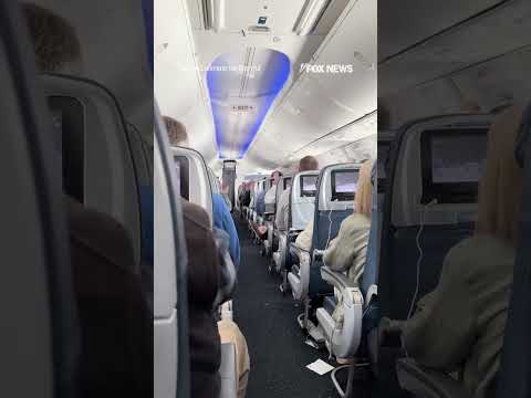 Read more about the article SKY-HIGH CELEBRATION: Passengers on flight erupt in cheers for Team USA #foxnews #news #sports