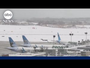Read more about the article Monster blizzard paralyzes travel, causes more than 11,000 flight cancellations