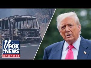 Read more about the article Trump’s wrath would be ‘ENORMOUS’ if Mexican cartels target Americans: Fahey