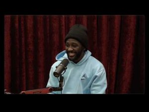 Read more about the article JRE MMA Show #174 with Terence Crawford